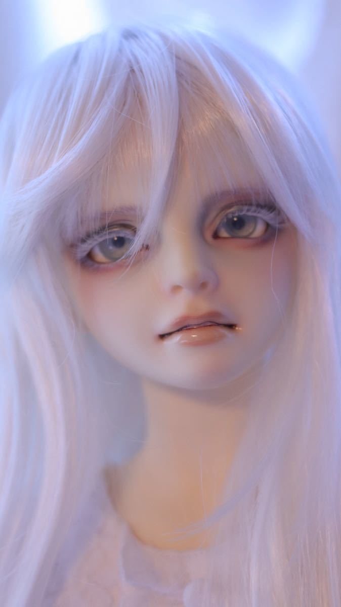 スーパードルフィー】教室AカスタムSDボディ ボークス スーパー