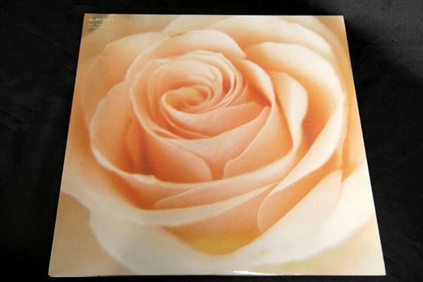 サニーデイ・サービス♪Best Flower B side collection レコード