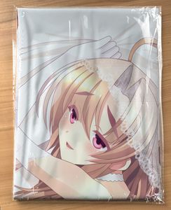 恋姫 抱き枕のYahoo!オークション(旧ヤフオク!)の相場・価格を見る 