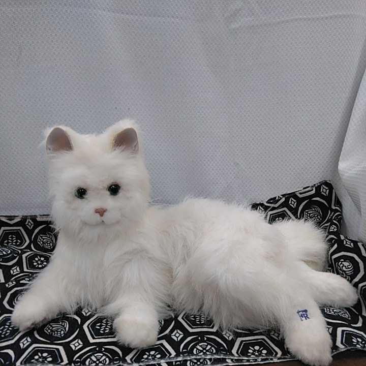セガトイズ 美品夢ねこヴィーナス : バーチャルペット 猫好き 昭和