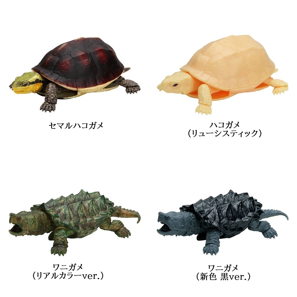 カメ かめ04 4種 セマルハコガメ ハコガメ リューシスティック ワニガメ 黒 ワニガメ リアルカラー バンダイ ガチャ ガチャポン ガシャポン 生き物 売買されたオークション情報 Yahooの商品情報をアーカイブ公開 オークファン Aucfan Com