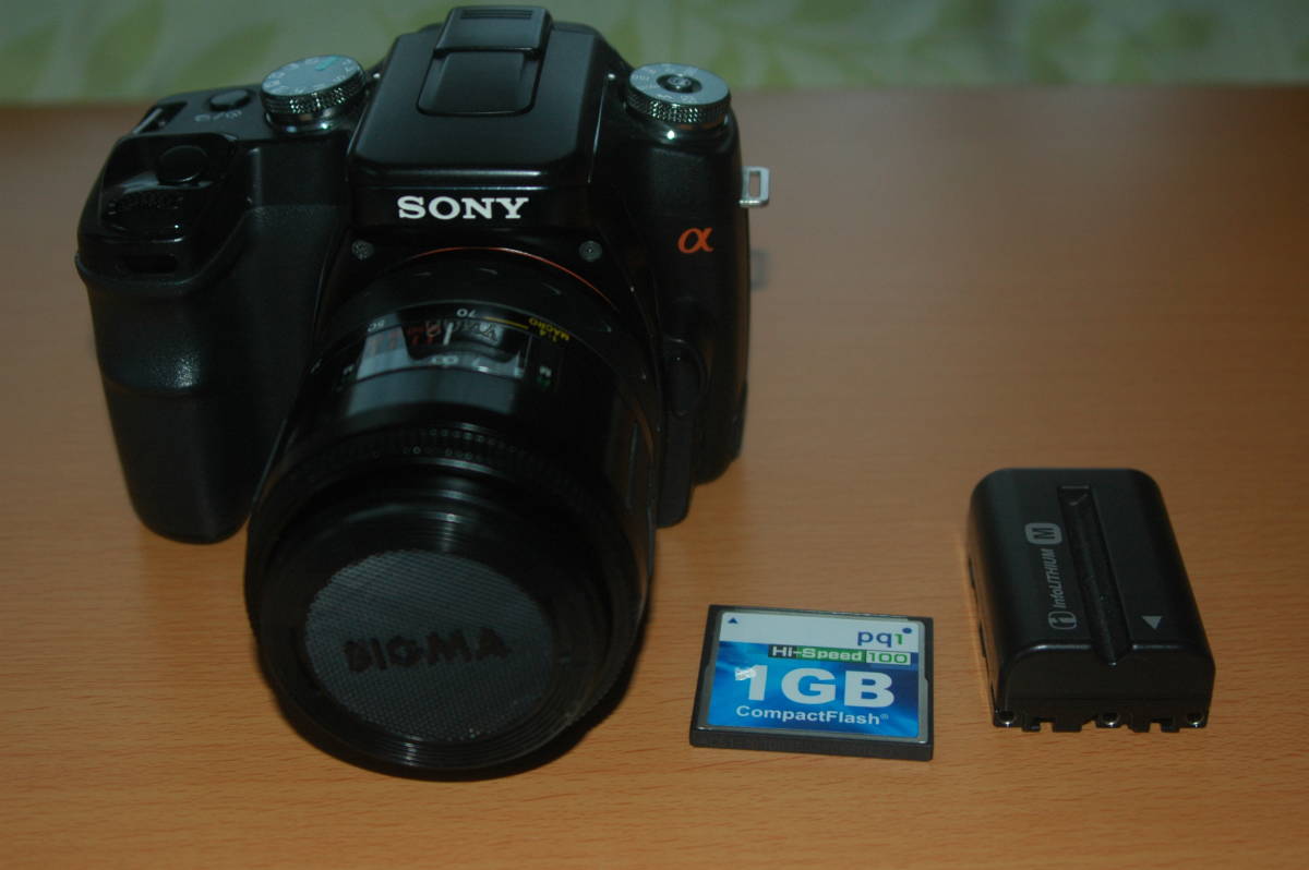 SONY α１００　ボディ_9