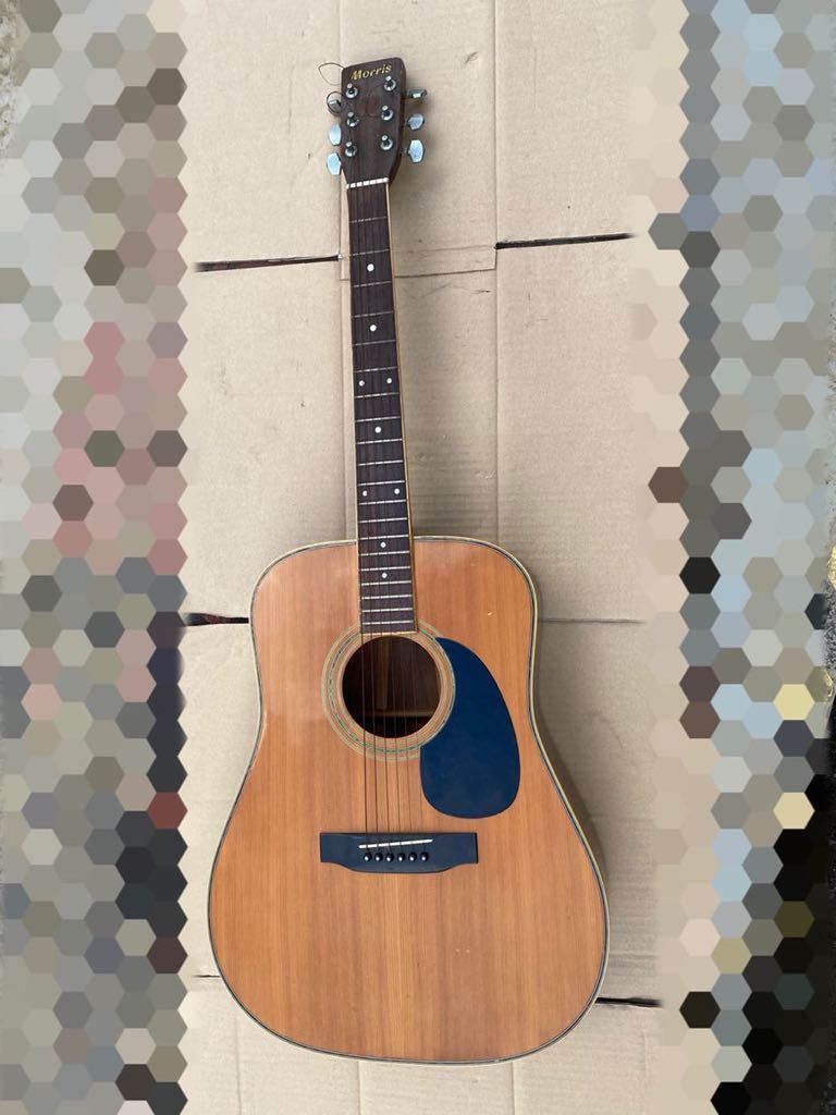 MORRIS | モーリス アコースティックギター SC-71 即納可能Morris 