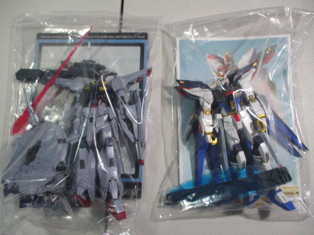 Iガンプラジャンク MG1/100 ストライクフリーダムガンダム 