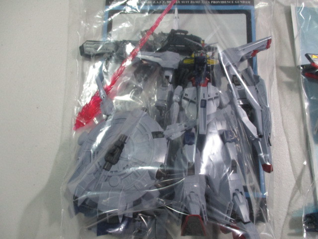 Iガンプラジャンク MG1/100 ストライクフリーダムガンダム 