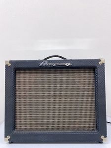 Ampeg J-12RのYahoo!オークション(旧ヤフオク!)の相場・価格を見る 