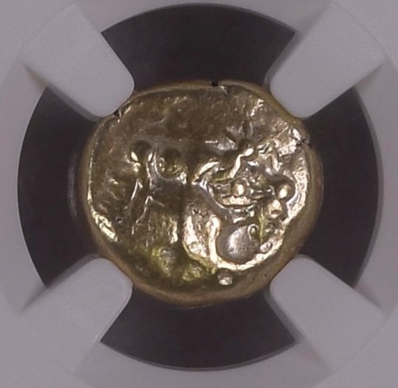 希少カルタゴ ゼウリガタナ NGC鑑定済み 古代コイン 投資用鑑定済み