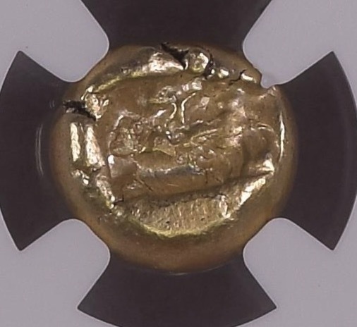 希少カルタゴ ゼウリガタナ NGC鑑定済み 古代コイン 投資用鑑定済み