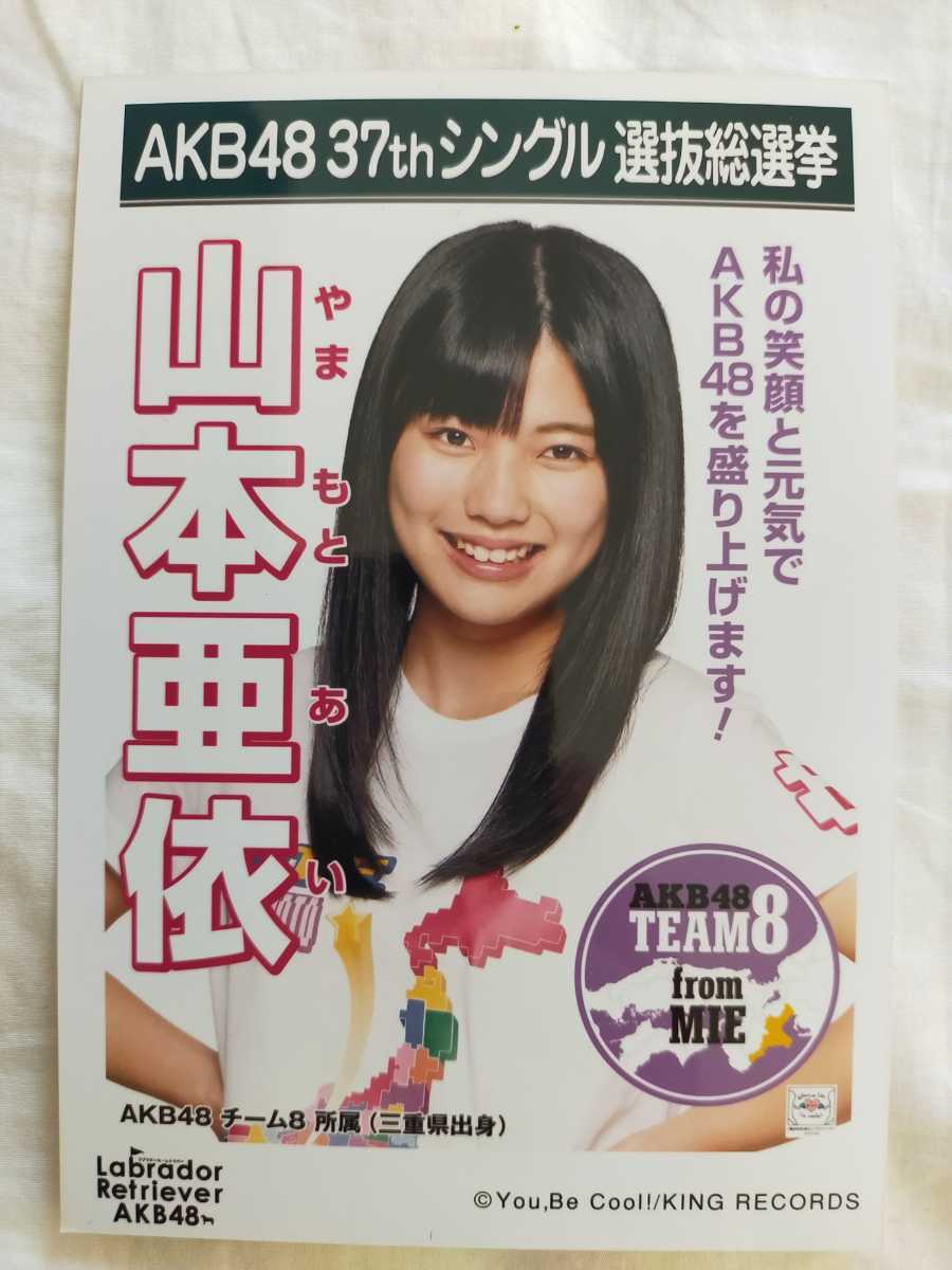 AKB チーム8 ラブラドールレトリバー 劇場 生写真｜AKB ラブラドール