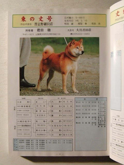 日本犬写真集 第7巻 犬 売買されたオークション情報 Yahooの商品情報をアーカイブ公開 オークファン Aucfan Com 日本犬写真集 第7巻 犬 売買されたオークション情報 Yahooの商品情報をアーカイブ公開 オークファン Aucfan Com