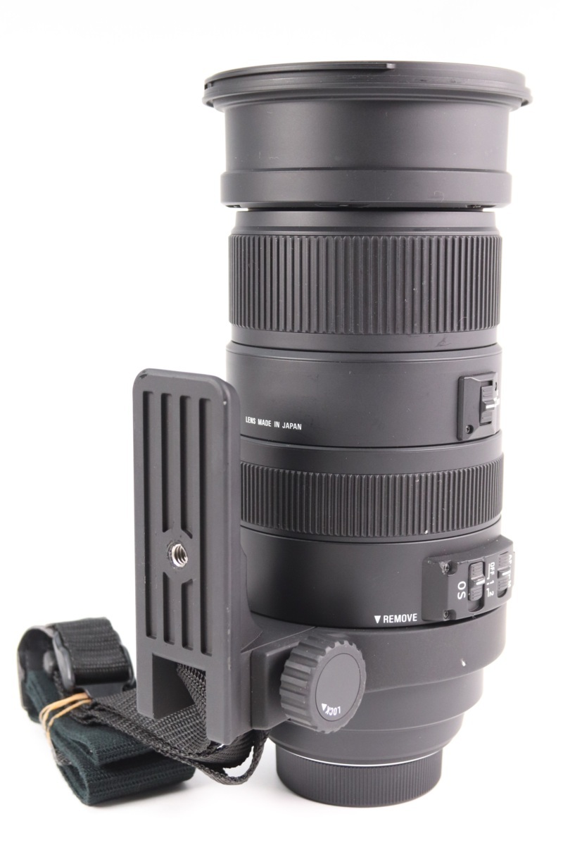 SIGMA シグマ DG 50-500mm F4.5-6.3 APO HSM NIKON ニコン用 ズーム