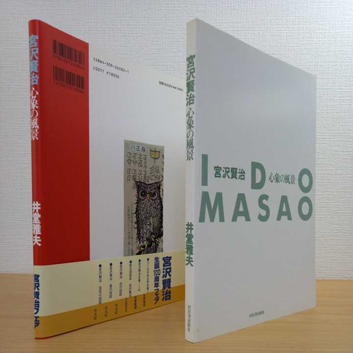 井堂雅夫 宮沢賢治心象の風景 賢治生誕100年記念画文集 河出書房新社