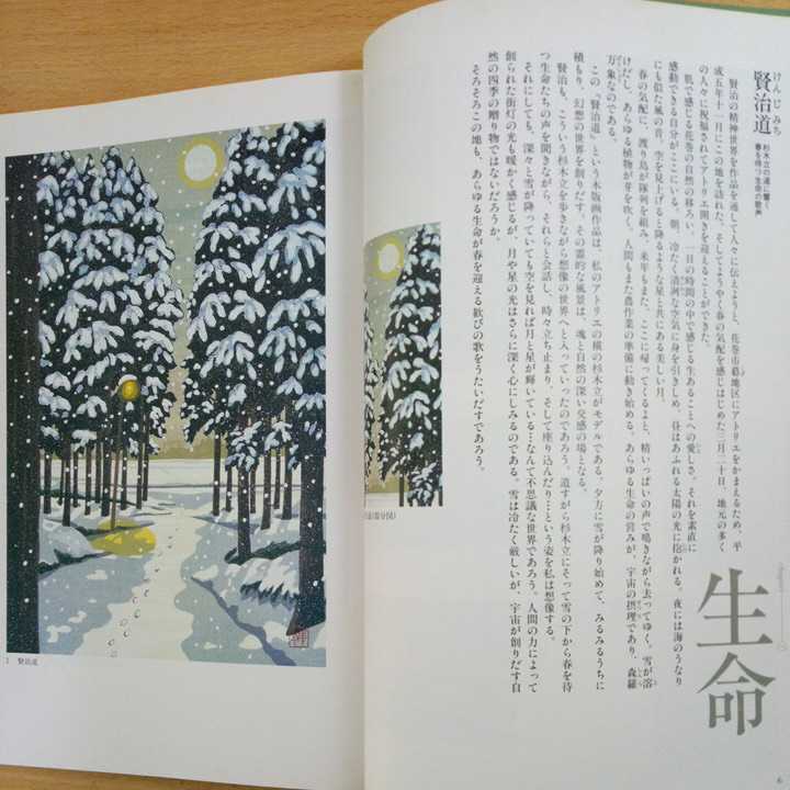 井堂雅夫 宮沢賢治心象の風景 賢治生誕100年記念画文集 河出書房新社