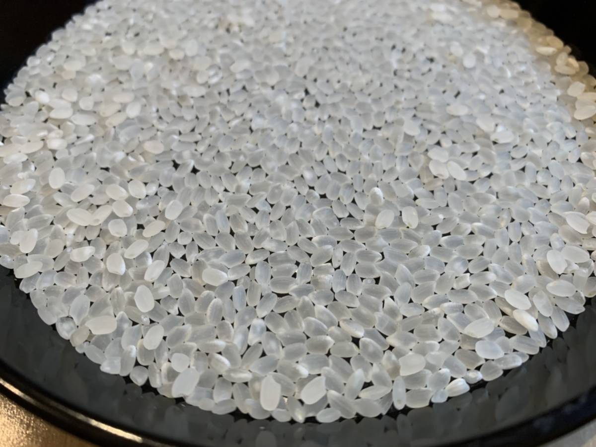 30kg 淡路島産 コシヒカリ 玄米30キロ 新米 精米小分け可 キヌヒカリ 