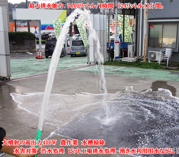 売り切り 未使用 水中ポンプ 100V 400W 家庭用 軽作業 農作業 洗車 