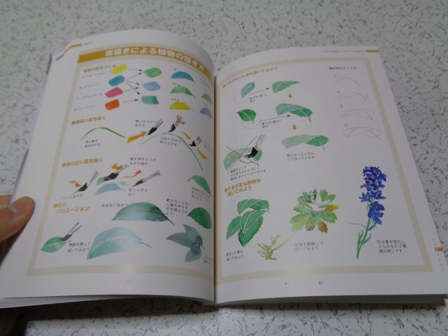水彩画の教科書 上田耕造 著 新星出版社(技法書)｜売買された