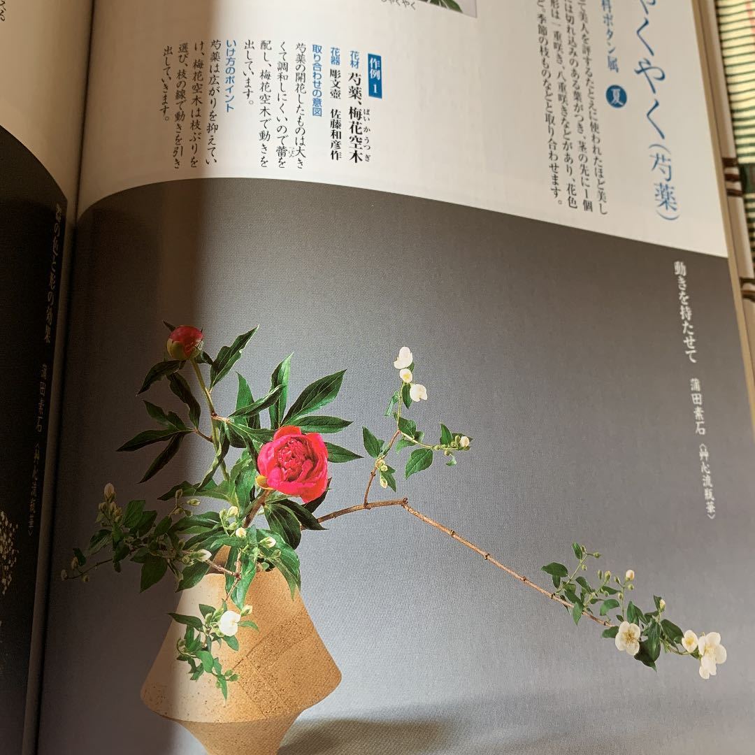 いけばな花材取り合わせ 伝統の和花 枝もの 草花 主婦の友社 平成10年 定価3300円 華道 いけばな 活け花 生花 フラワーアレンジメント 売買されたオークション情報 Yahooの商品情報をアーカイブ公開 オークファン Aucfan Com