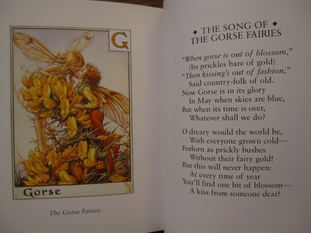 絶版 希少本 洋書 A FLOWER FAIRIES TREASURY / CICELY MARY BARKER