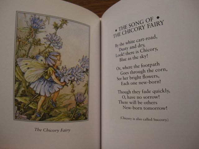 絶版 希少本 洋書 A FLOWER FAIRIES TREASURY / CICELY MARY BARKER