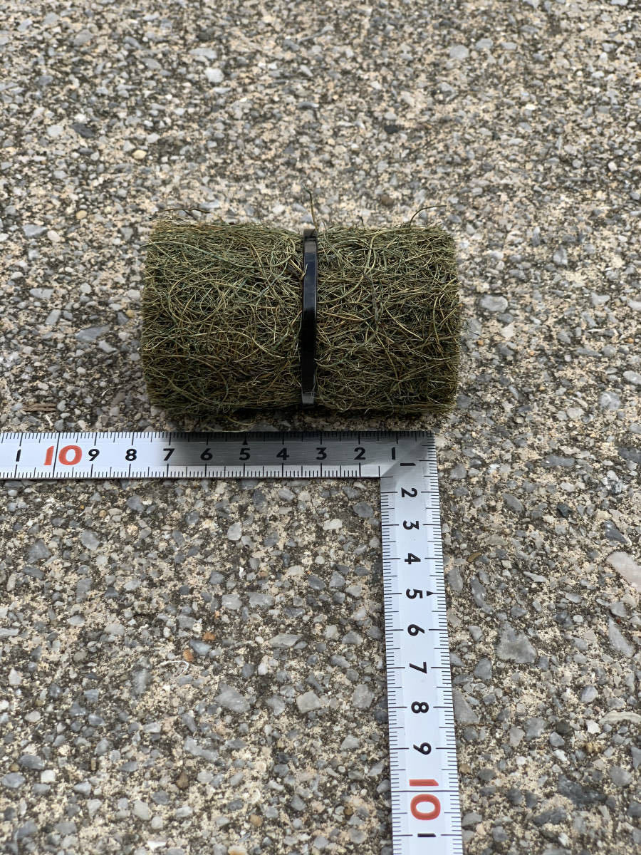 メダカ 産卵床100個 天然ヤシ繊維 送料無料 めだか 産 卵 床 Esupport Vn