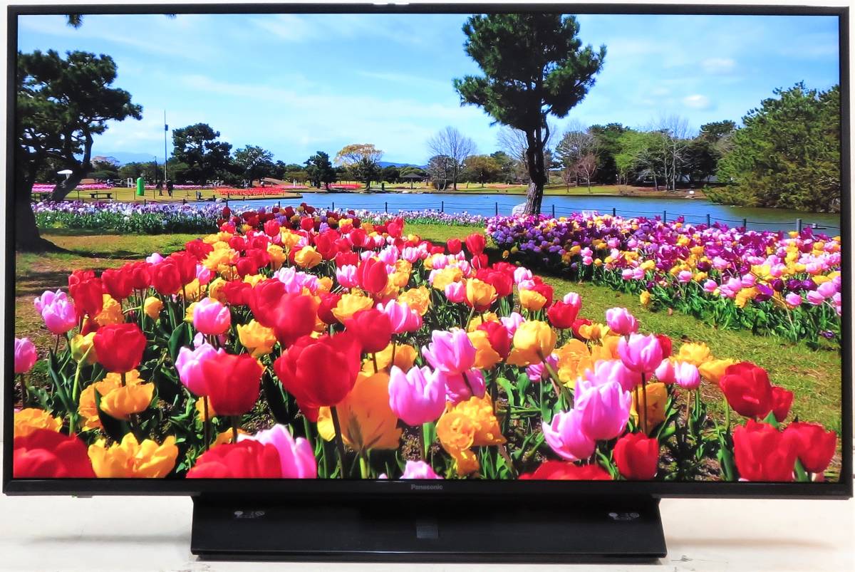 1432）【2019年】PANASONIC TH-43GX850 43型 ☆ 4K/フルハイビジョン
