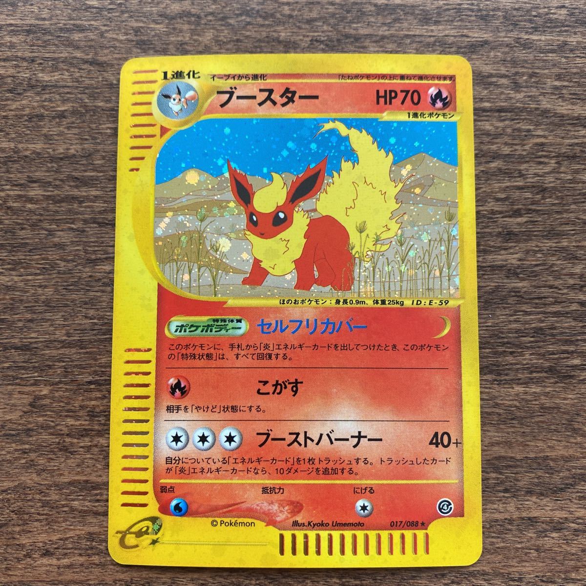 ポケモンカード ブースター キラ ポケモン eカード 【公式通販】