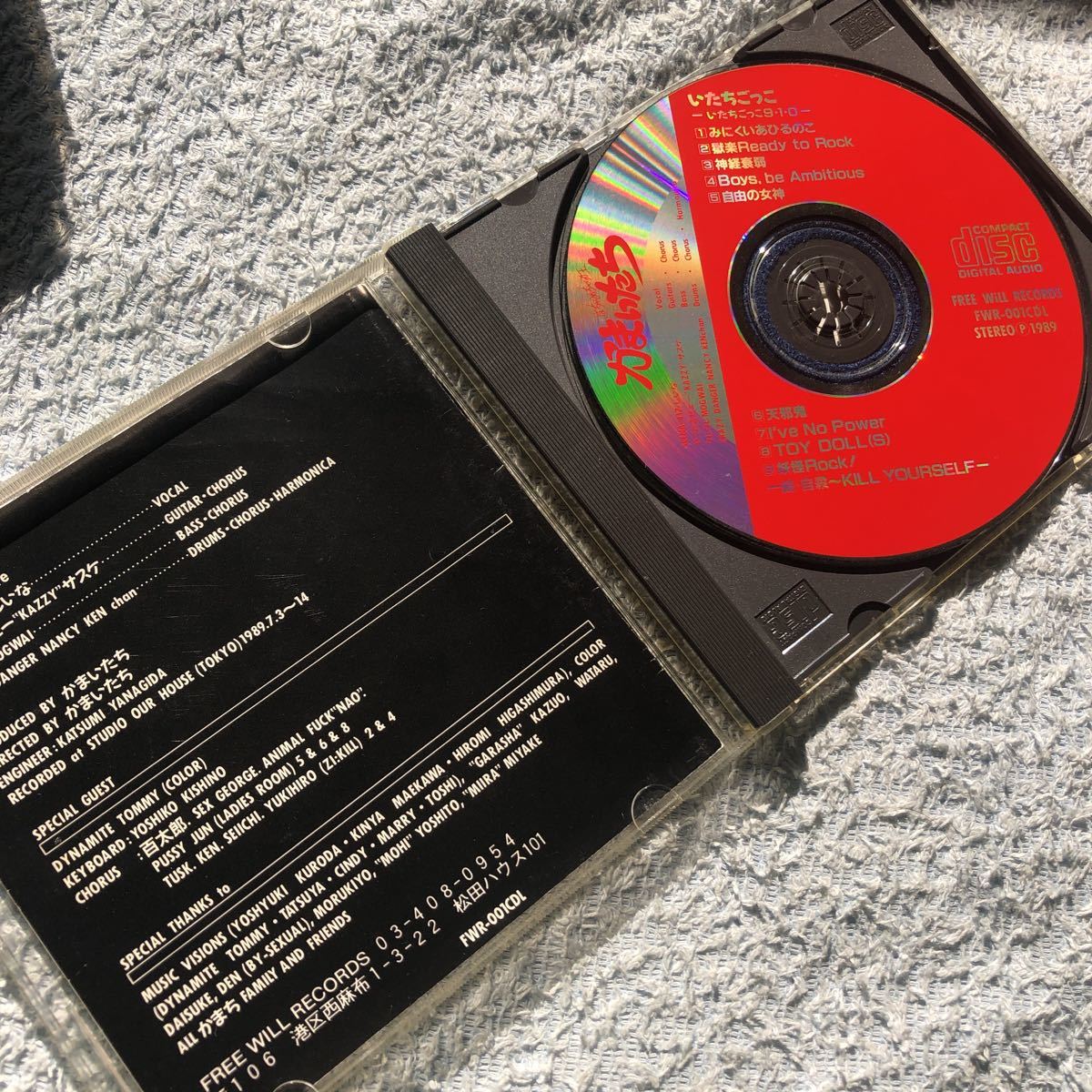 会場限定 150枚限定DVD】 幻覚アレルギー / 幻覚アレルギー (検