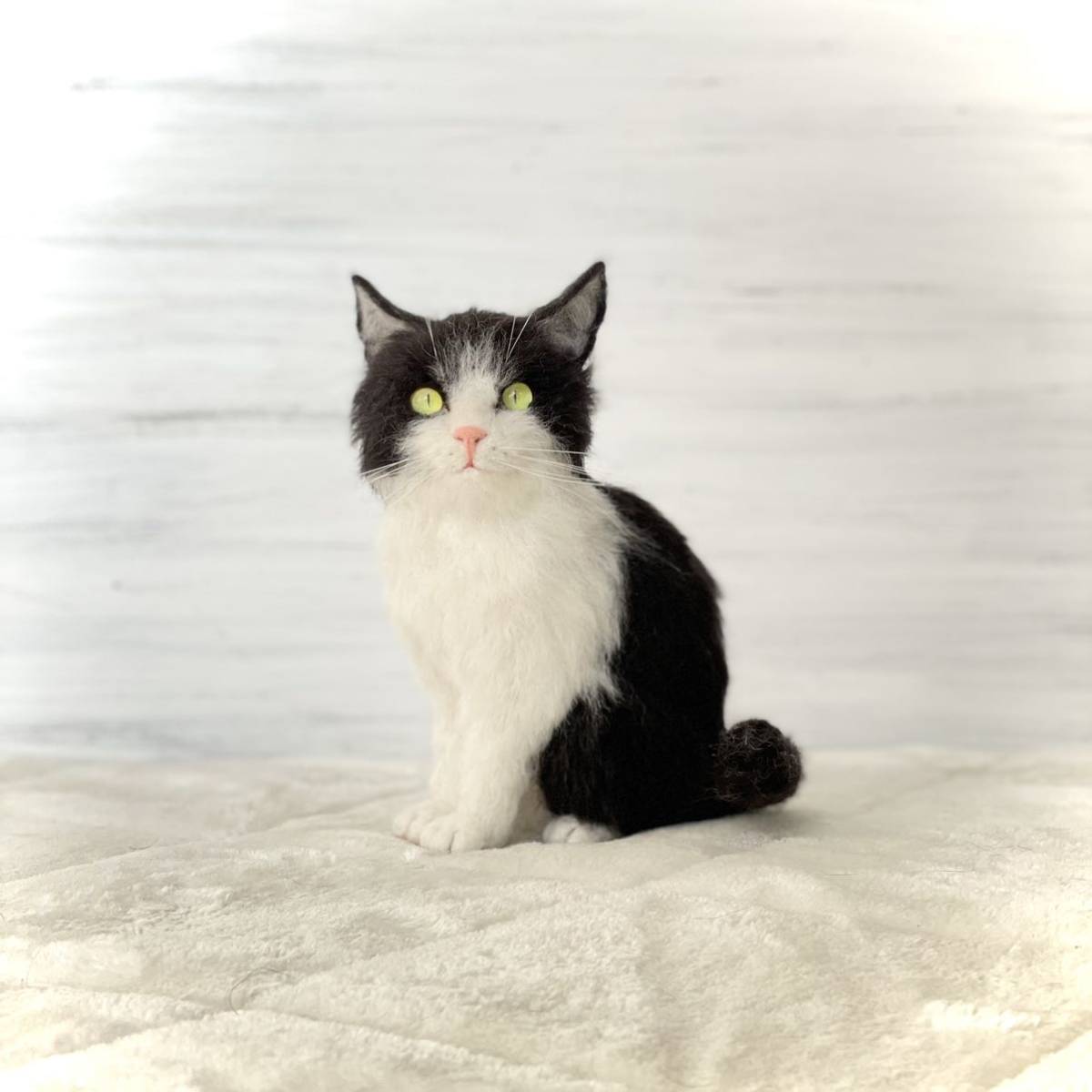 羊毛フェルト 猫 白黒ハチワレさん イカ耳 猫の置き物 Angelcat Art 羊毛フェルト 売買されたオークション情報 Yahooの商品情報をアーカイブ公開 オークファン Aucfan Com 羊毛フェルト 猫 白黒ハチワレさん イカ耳 猫の置き物 Angelcat Art 羊毛フェルト 売買されたオークション情報 Yahooの商品情報をアーカイブ公開 オークファン Aucfan Com