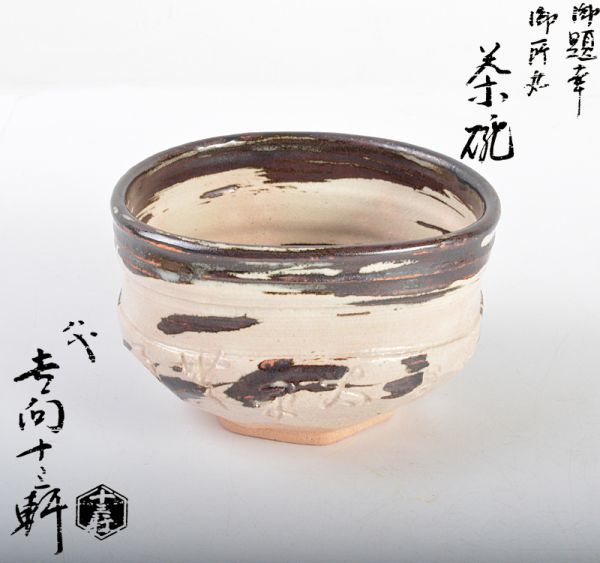 コロナリウム coronarium ビカクシダ プラティセリウム Platycerium