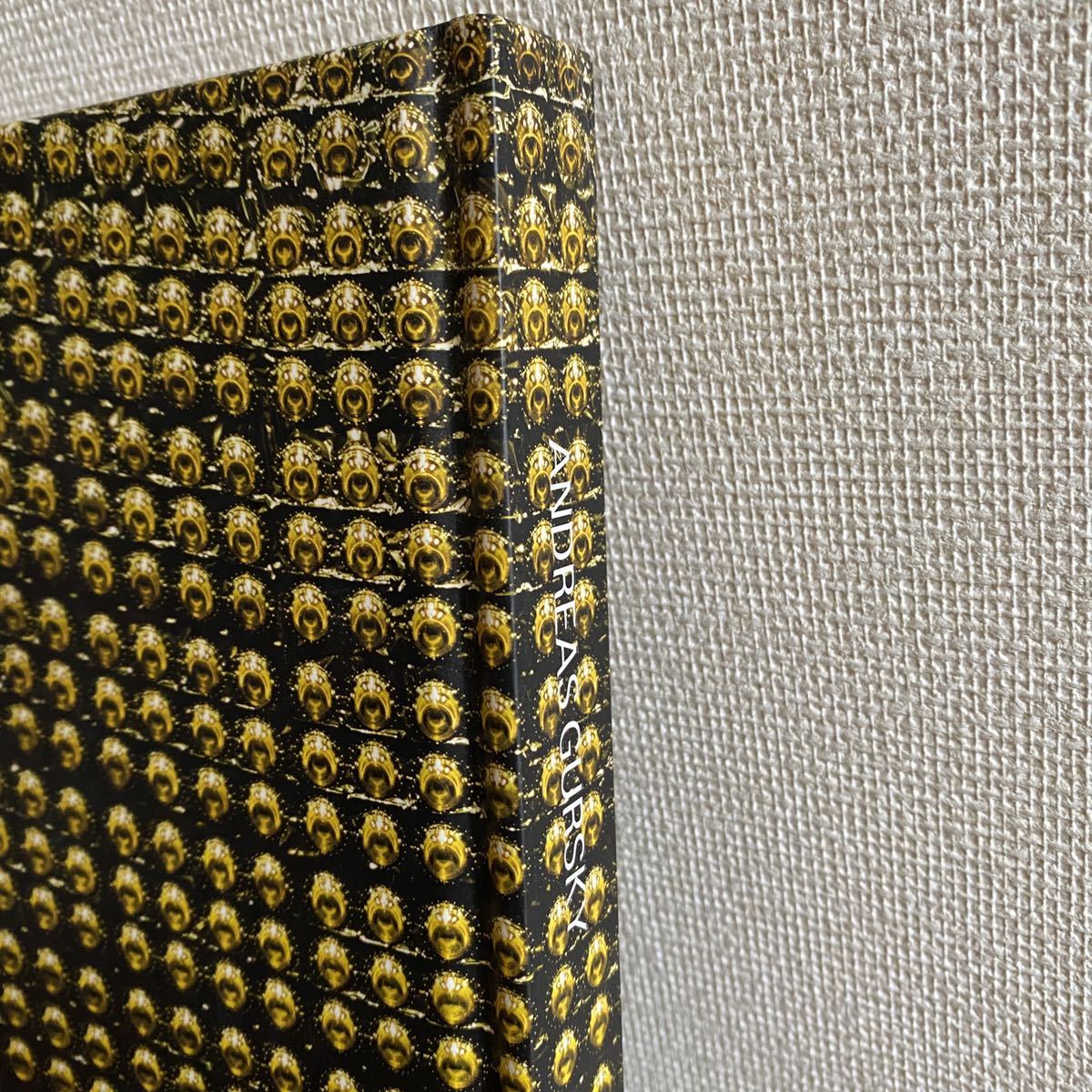 アンドレアス・グルスキー展 図録 新国立美術館 写真集 ANDREAS GURSKY