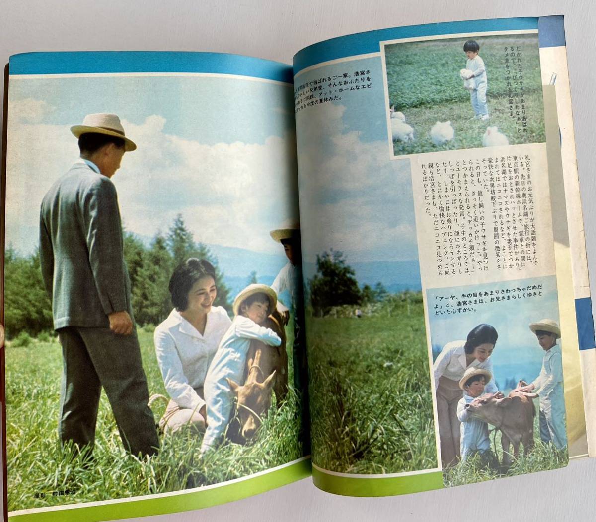 週刊平凡1968年8月29日 ショーケン 萩原健一ピンアップ 宇津井健 中村晃子 小川知子 京唄子 キンちゃんブーム ジュリー 平凡 売買されたオークション情報 Yahooの商品情報をアーカイブ公開 オークファン Aucfan Com