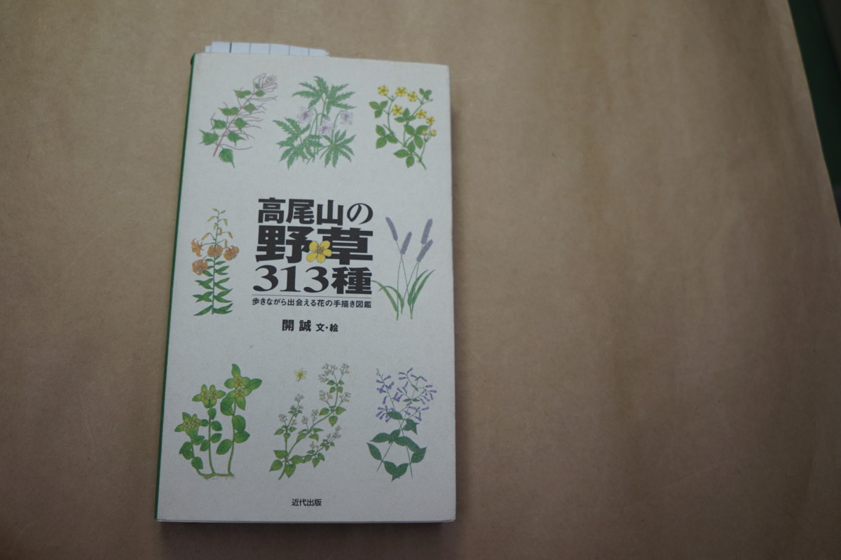 高尾山の野草313種 歩きながら出会える花の手書き図鑑 開誠文 絵 近代出版 04年初版 野草 植物 売買されたオークション情報 Yahooの商品情報をアーカイブ公開 オークファン Aucfan Com 高尾山の野草313種 歩きながら出会える花の手書き図鑑 開誠文 絵 近代出版 04年初版 野草 植物 売買されたオークション情報 Yahooの商品情報をアーカイブ公開 オークファン Aucfan Com