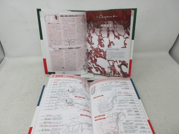 | 肉単 広至, 河合 河合良訓／監修 原島広至／本文・イラスト 脳単 原島, 骨単 語源から覚える解剖学英単語集 (ニクタン) |本 良訓 良訓, 〜語源から覚える解剖学英単語集〔筋肉編〕〜 4冊セット