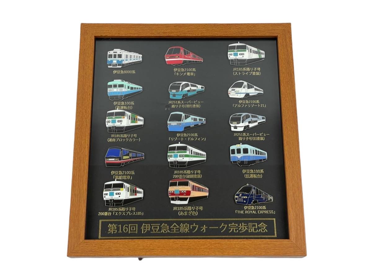☆中古品☆ 第3回 伊豆急全線ウォーク完歩記念 ピンバッジ