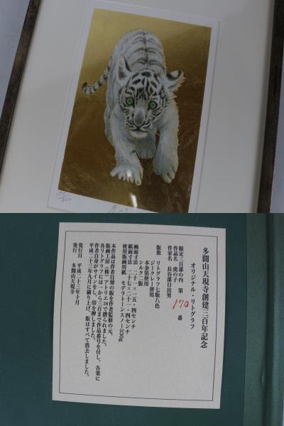 長谷部日出男 リトグラフ 「虎の子」サイン 縁額 絵画 限定 縁起物 金