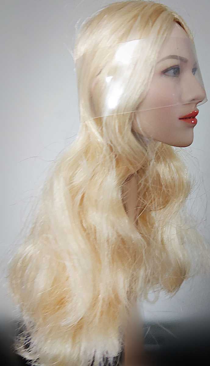 1円 Kimi Blonde Beautiful Girl Head Sculpt 1 6サイズアクションフィギュア用ブロンド美人女性ヘッド クールガール 売買されたオークション情報 Yahooの商品情報をアーカイブ公開 オークファン Aucfan Com
