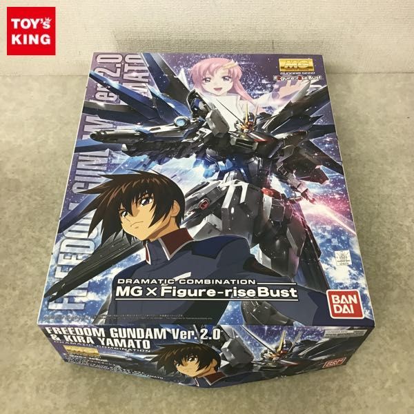 1円～ バンダイ ドラマティックコンビネーション MG×Figure-riseBust 1 