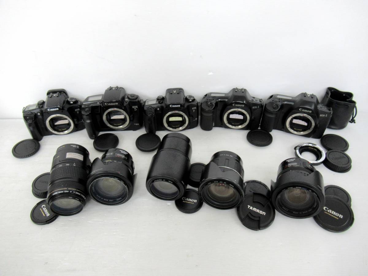 Canon EOS - Camera EOS-1V – Fine | 0 with USM Art Layton 5D Tim