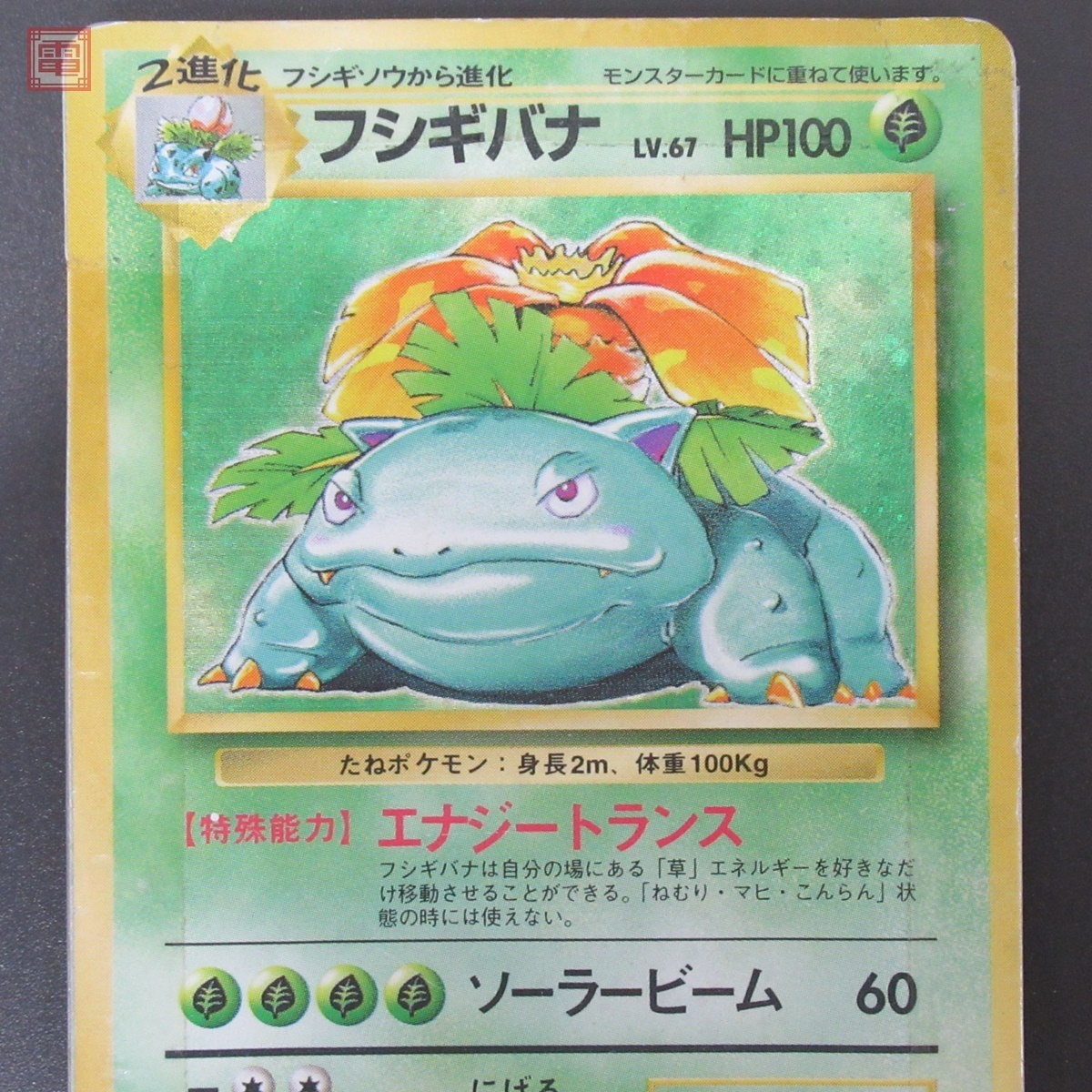 リザードン LV.76 カメックス LV.52 フシギバナ LV.67 ピカチュウ LV