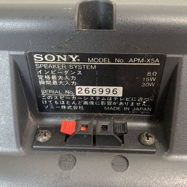 SONY Speaker System APM-X5A ソニー スピーカー ペア 磁気シールド高