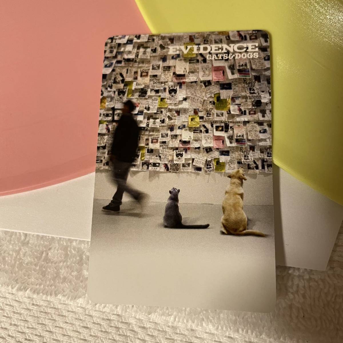 & Cats Dogs | Evidence - (Deluxe Version) Vinyl 貼るケアで