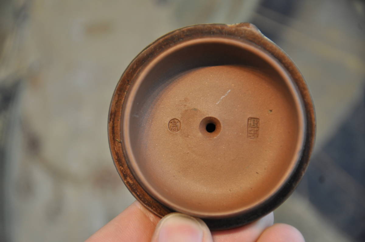 紫砂 急須 中国宜興 煎茶道具 茶器 中国美術 茶道具 西瓜形 高建芳 4客