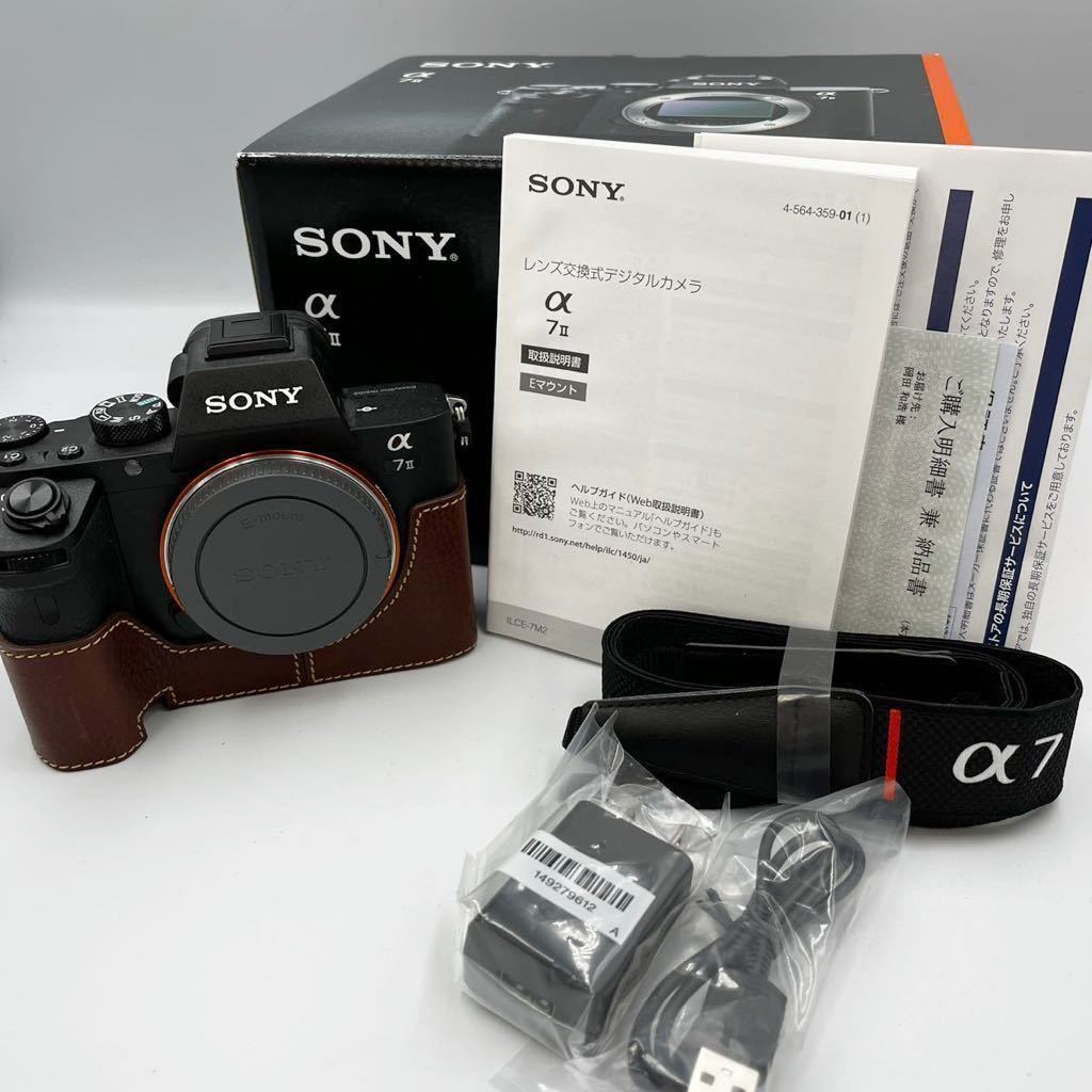 SONY一眼レフ 磨ぐ 