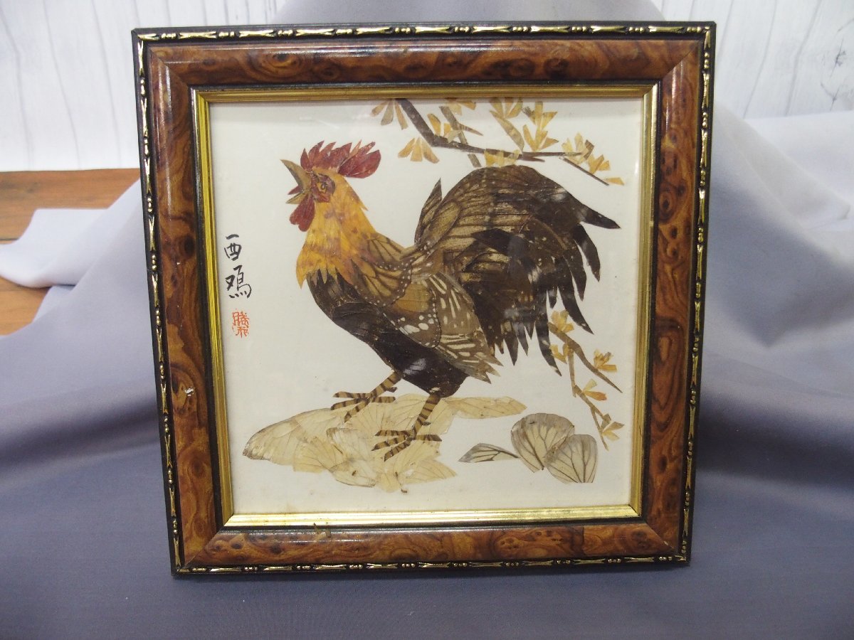 s001 A1 蝶羽アート 酉鳴 鶏 にわとり ニワトリ 額装 22.5cm角 中古品 