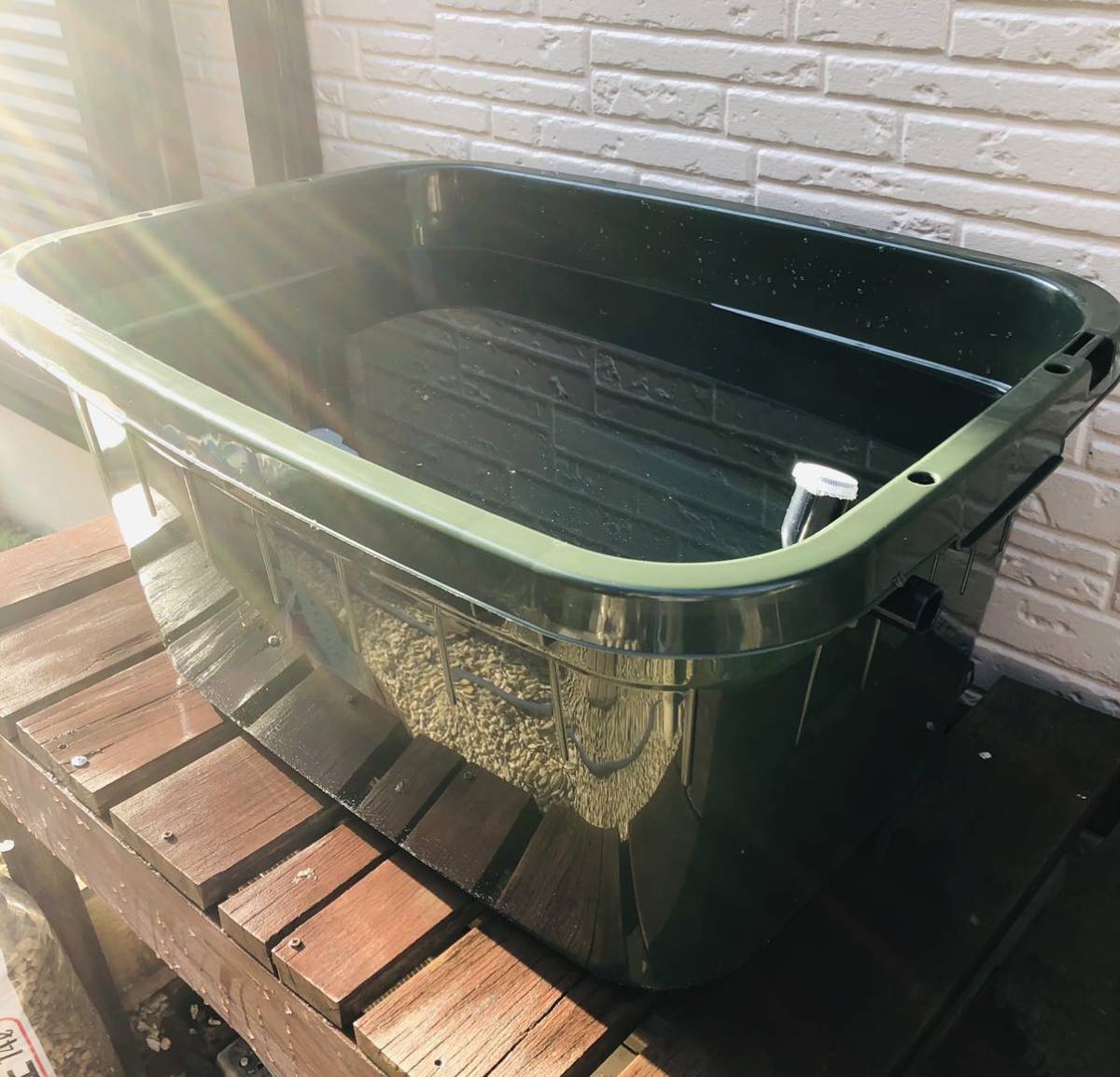 by OF加工済み 工房うさぎや｜ラクマ メダカ飼育ケースタライ６２リットルの通販 メダカ飼育ケース 公式通販 メダカ飼育ケースタライ62リットル めだか飼育容器 62リットル メダカ飼育ケースタライ６２リットルビオトープの通販 工房 ６２リットル めだか飼育ケース 送料、無料 グリーン オーバーフローメッキフィルター