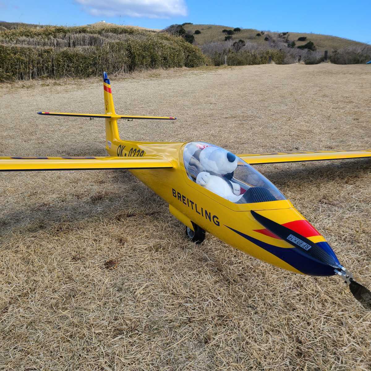 valentamodel L213a 1:3 プロペラ付き | FOREST-MASTER.COM