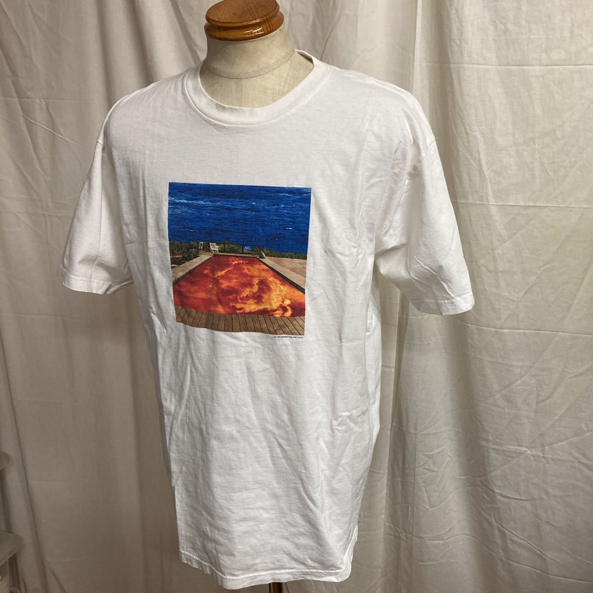 レッドホットチリペッパーズ Hot Red Chili レッチリ Tシャツ Peppers 半袖 - HOT PEPPERS CHILI RED バンドTシャツ ロックTシャツ CHILIPEPPERS&frasl;レッドホット
