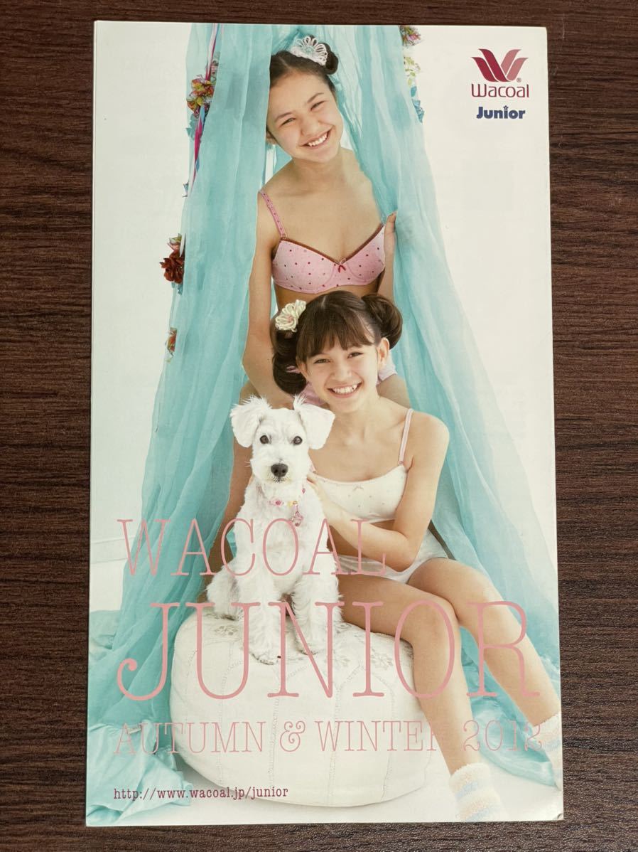 ワコール ジュニア カタログ 4冊セット 2012 2013 2014の入札履歴