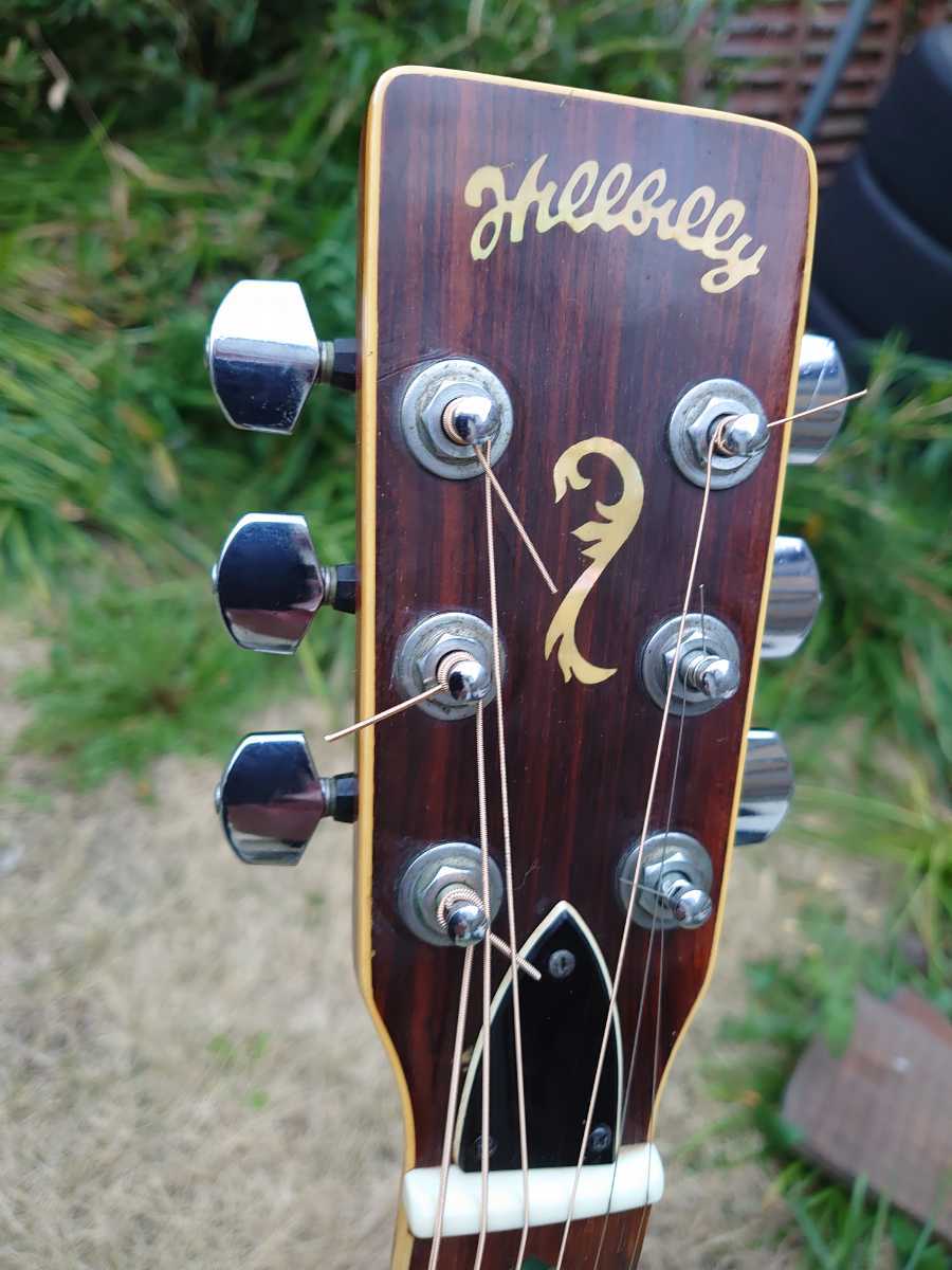 アコースティックギター 超希少 ヒルビリー Hillbilly W-40 木曽スズキ 