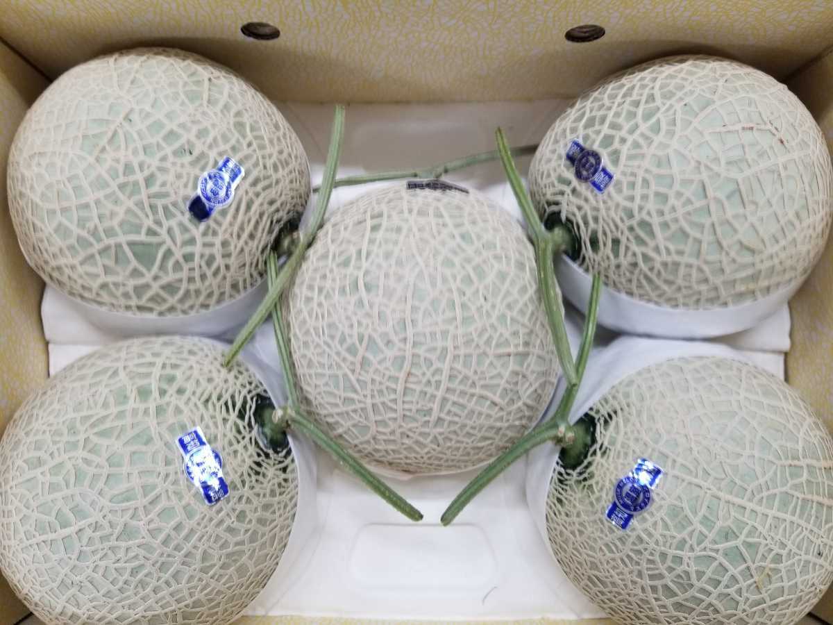 マスクメロン 外まで甘い」1玉箱入り高糖度マスクメロン：高知県産の 
